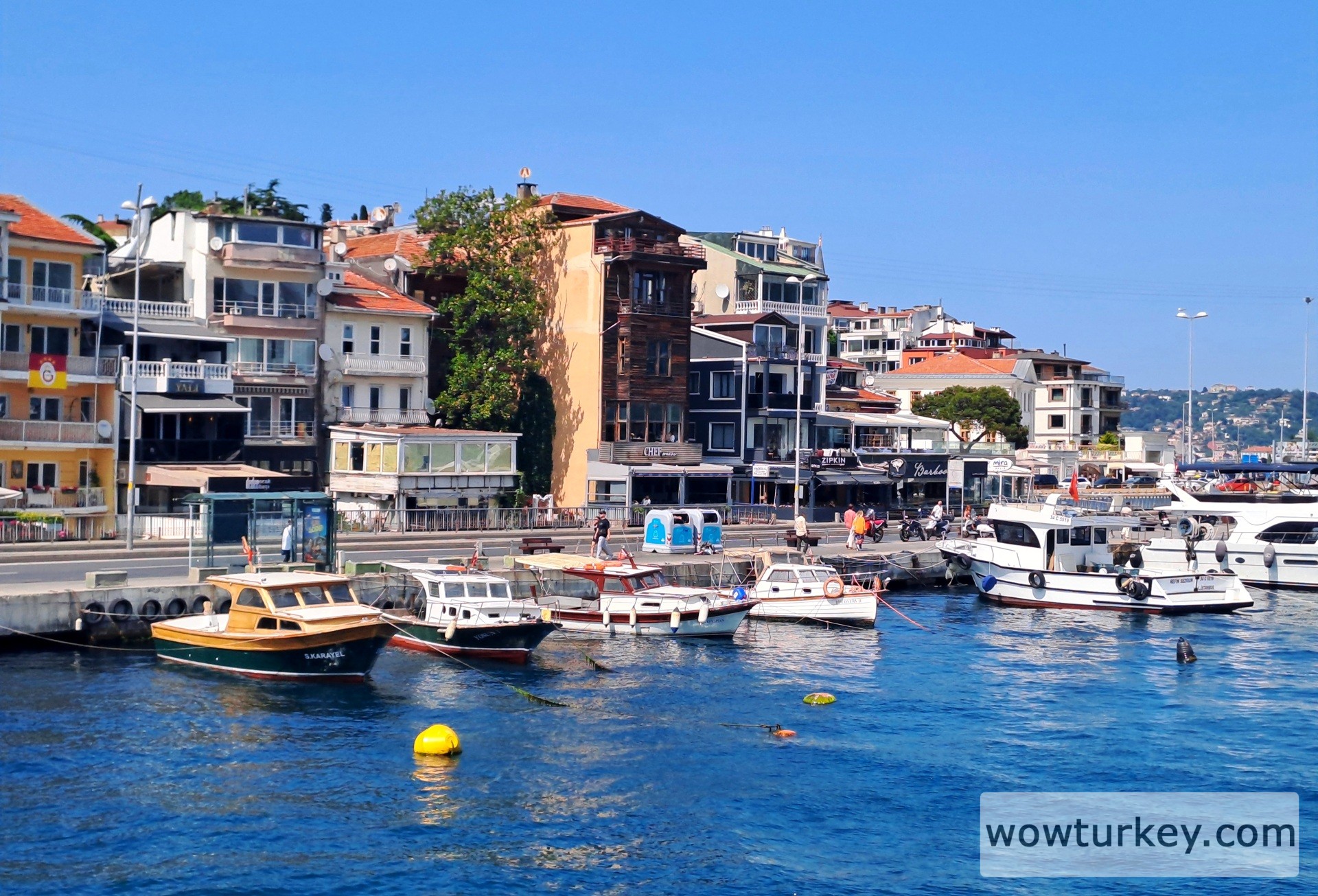 20250606_152706 (1).jpg