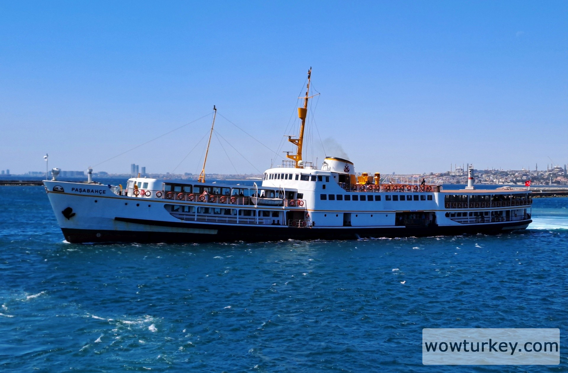 20250816_132539 (1).jpg