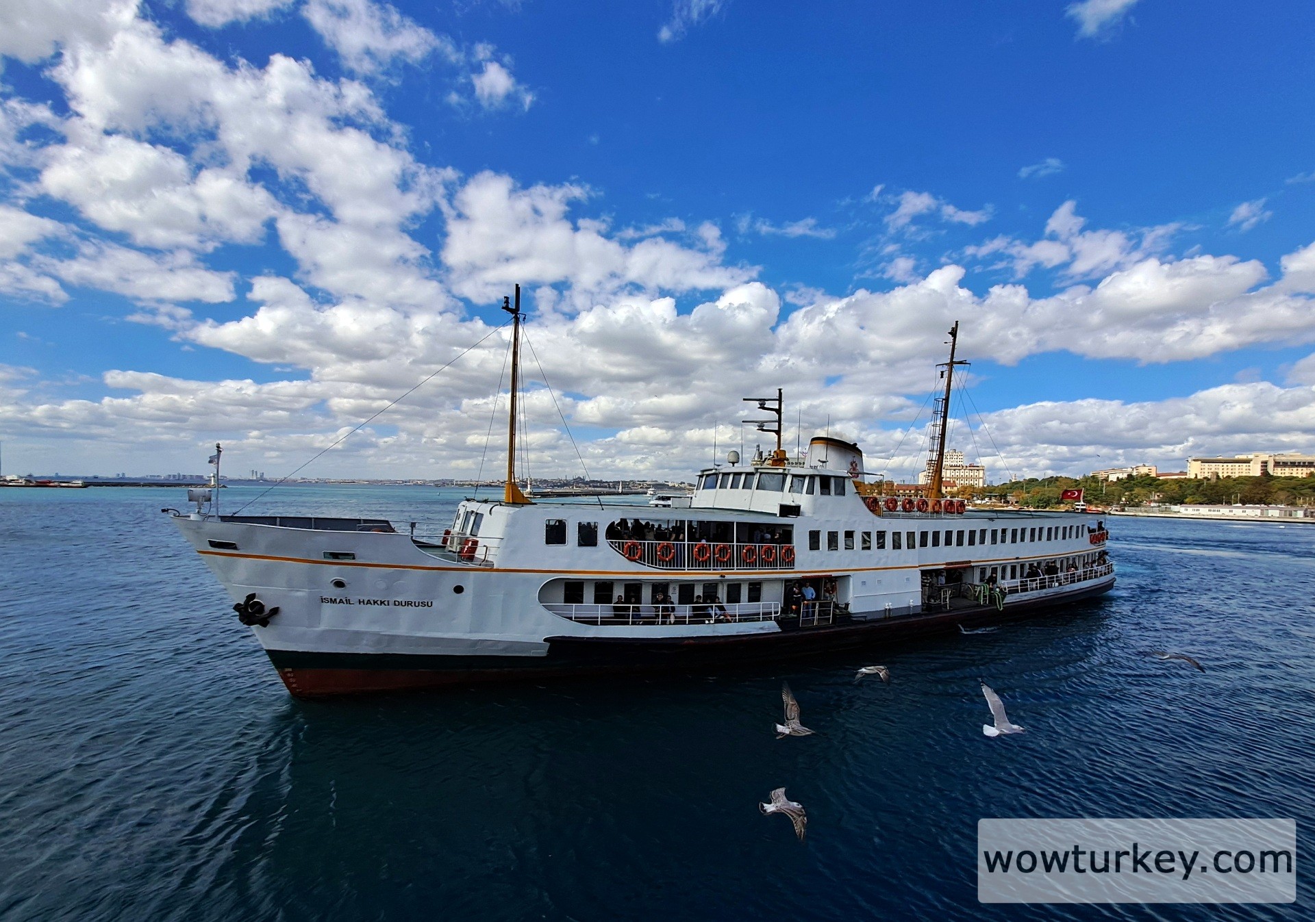 20250927_125450 (1).jpg