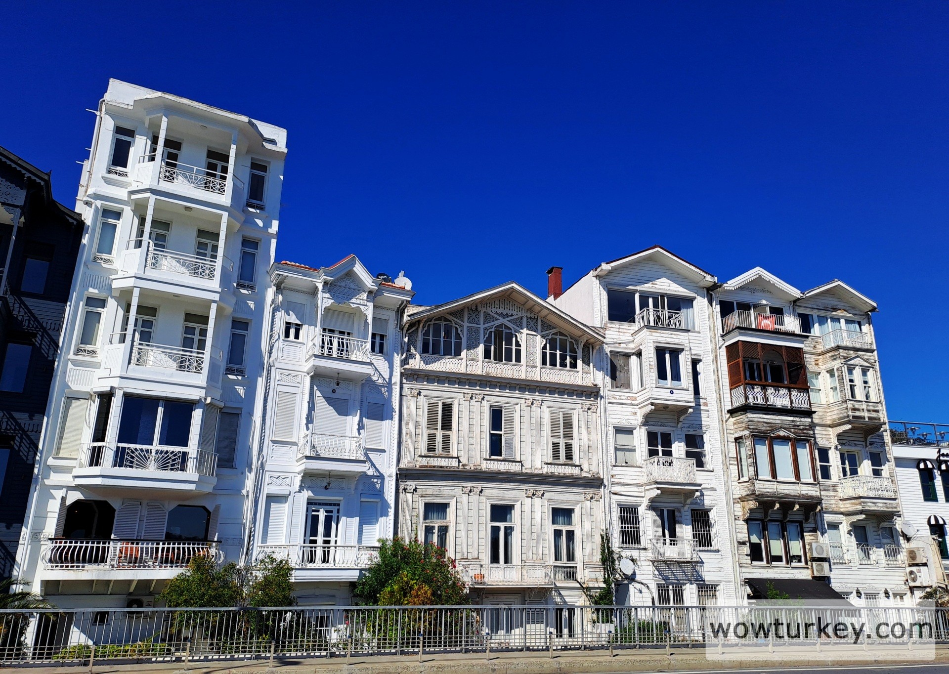 20251006_135554 (1).jpg