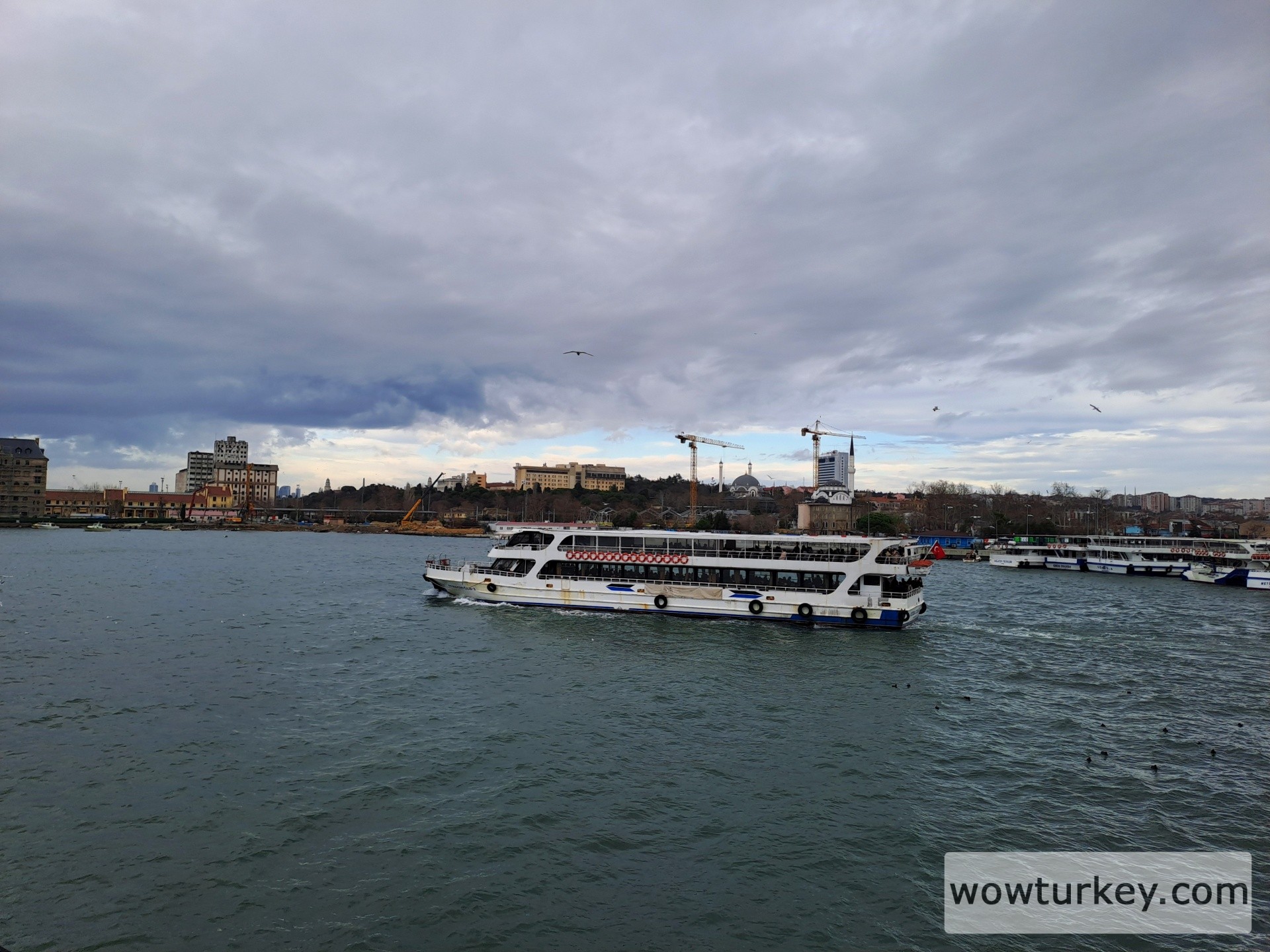 20260103_125203 (1).jpg