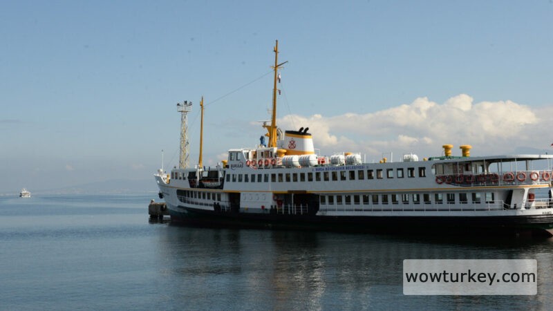 22234_BUDO_1_201607221121-800x450