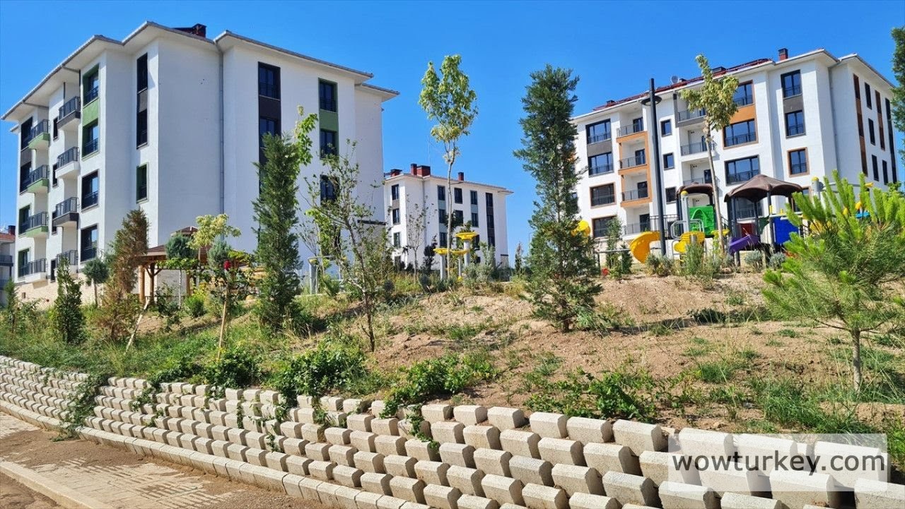 229461193-1712408555