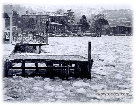 24 Şubat 1954'te görünen buz kütleleri 4