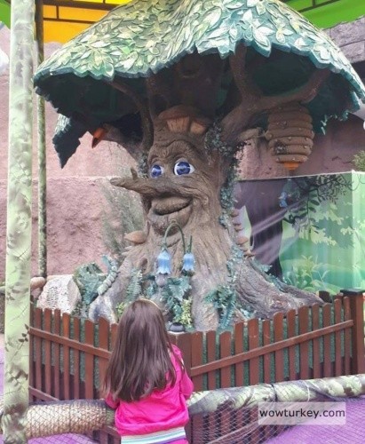 27973266_1988826091147215_6023909535561004373_n