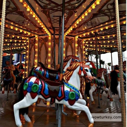 28166445_1997643873598770_4454644825900869981_n