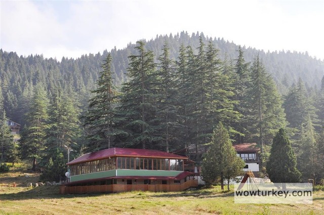 283829-baskonus-yaylasi-6jpg