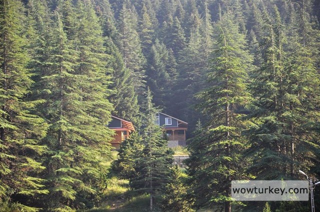 283830-baskonus-yaylasi-7jpg