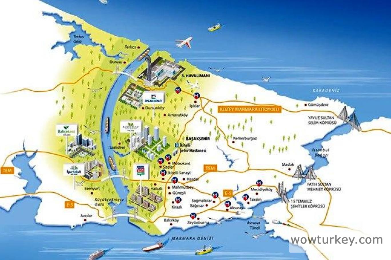 290736-1144507391 pct