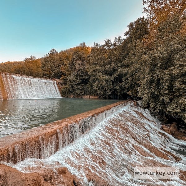 29131016_s45wQJQV4vvHn5k294UxKMVnsK_exf64ucvBX4Pw3_c