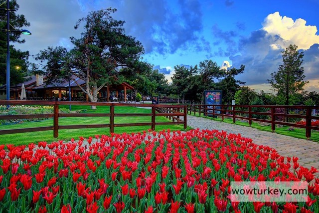 30-30-2908-4-176193486-Copy