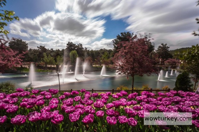 30-30-4591-4-983612023-Copy