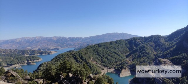 31131425-Whats-App-Image-2022-10-30-at-18-55-58-1