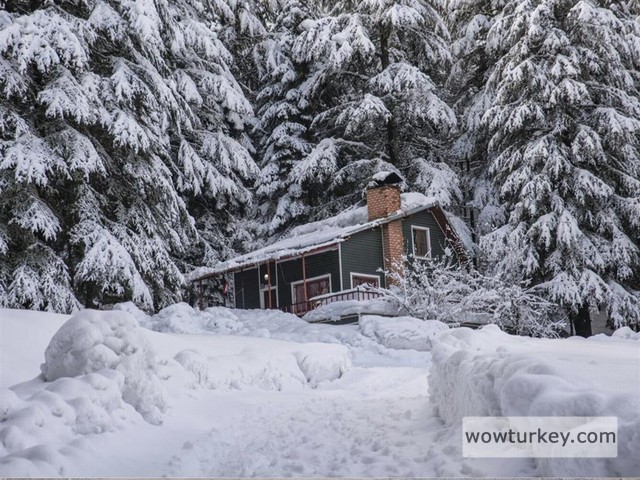 325883-baskonus-yaylasi-1jpg