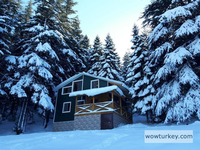 325884-baskonus-yaylasi-2jpg