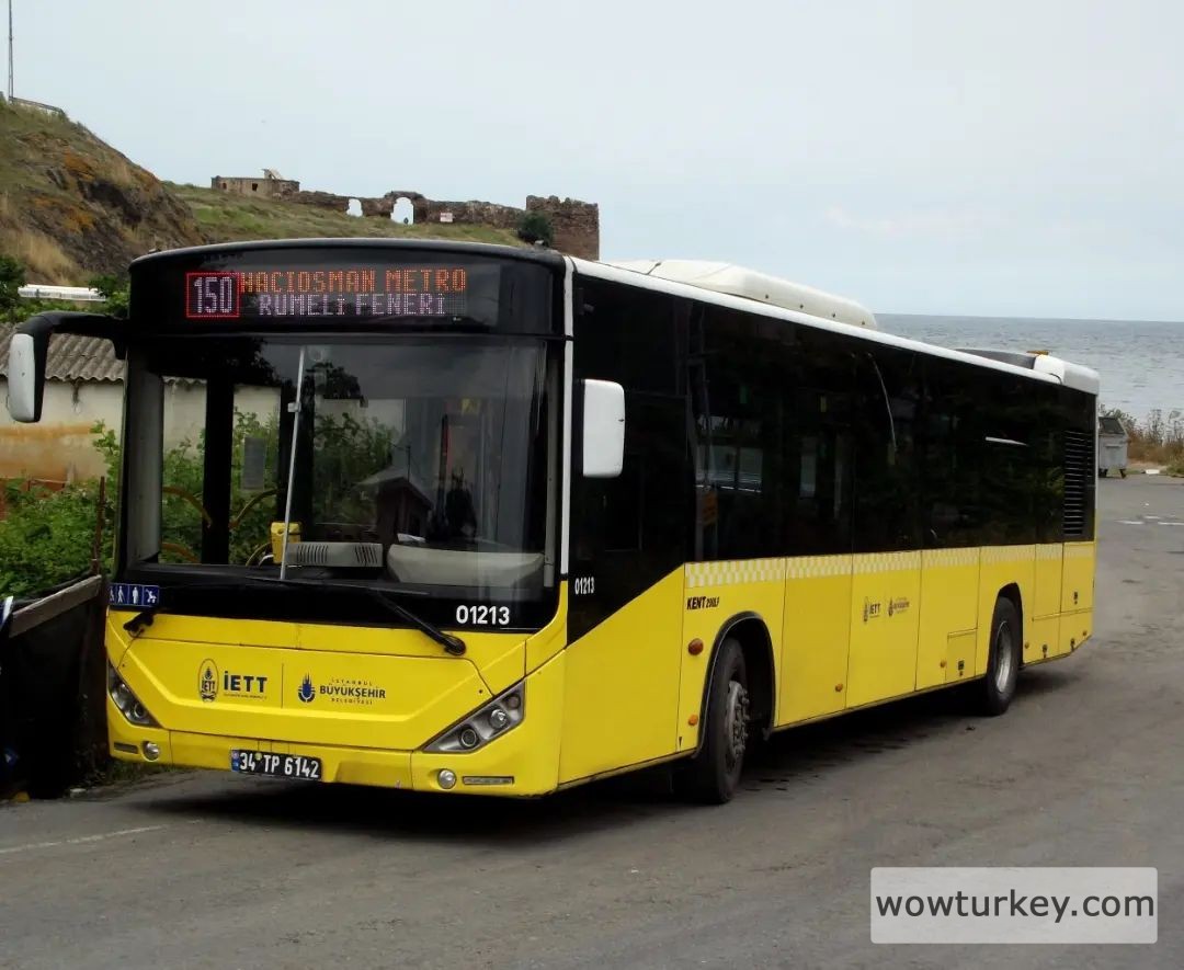 330816485_147945471105233_828204954503615110_n