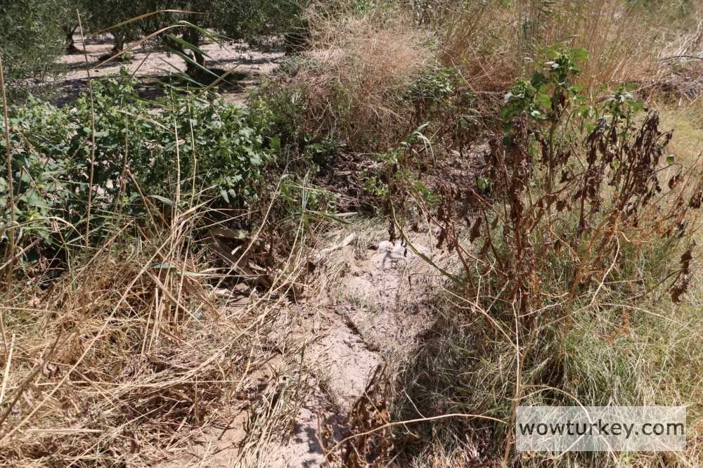 38bb8dc8-db9a-4bbd-9eac-fb7dbda1e9fc