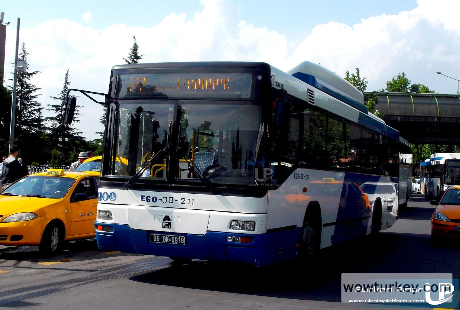 40517169560_0b8c73a514_h