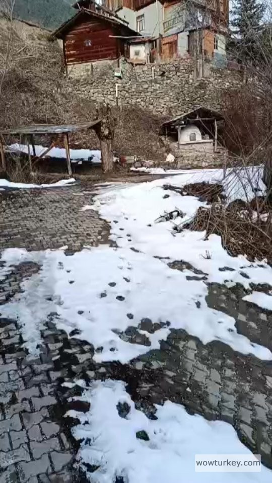 414201156_1067354214417782_6704219372626274466_n