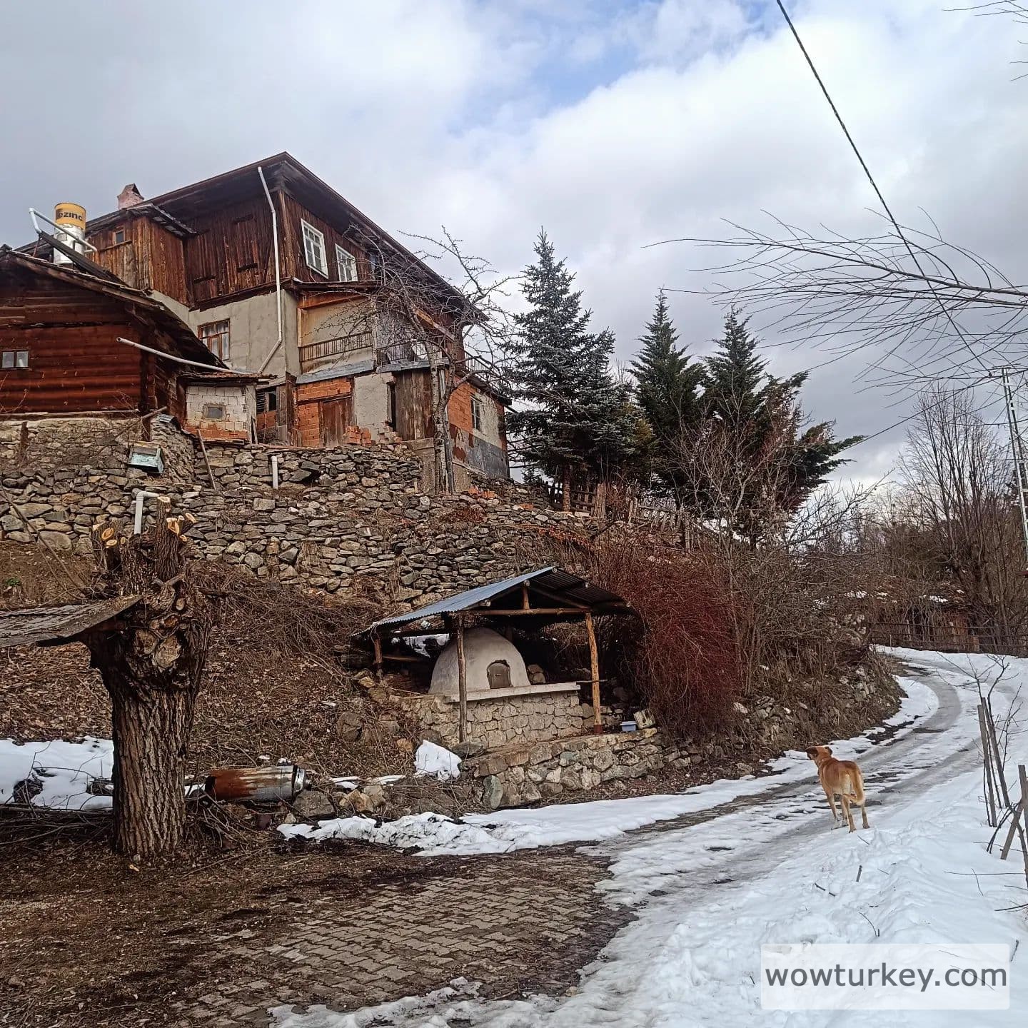 414463589_1492637731672945_204226479511287283_n