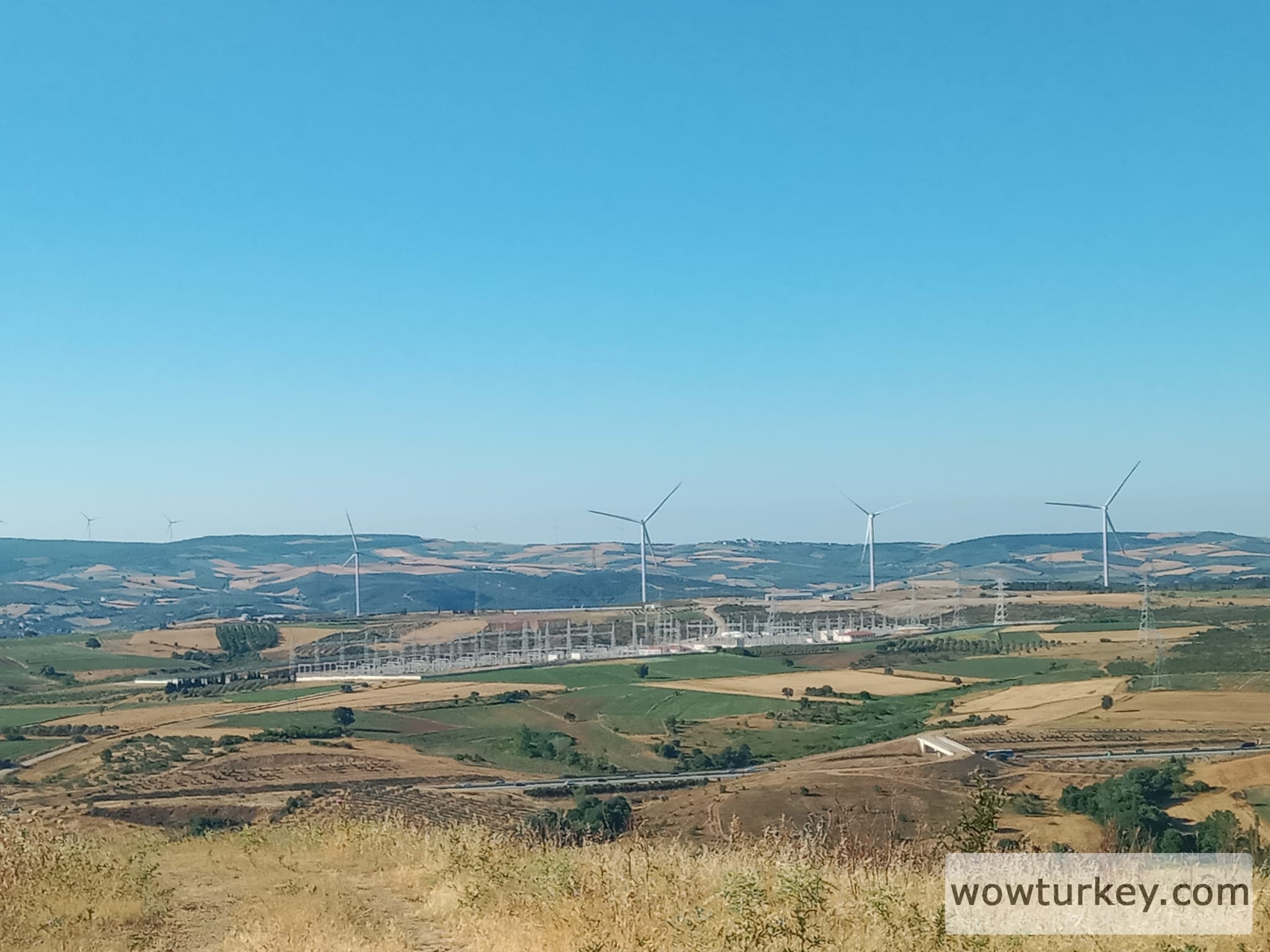 448471149_1274174753564689_2526619427003439368_n