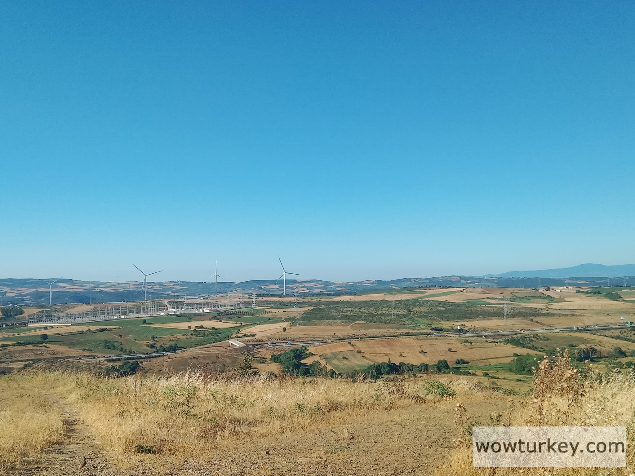 448508559_1274174800231351_4617523408334447266_n