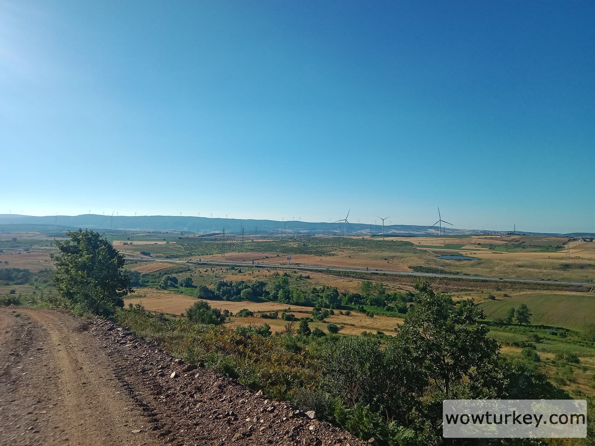 448705593_1274174670231364_9168738825025250821_n