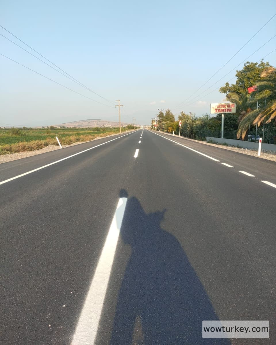 457261195_382743581536794_5210929760624254644_n