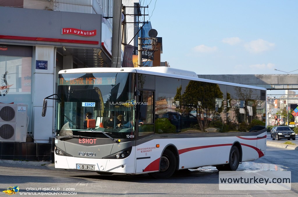 49001260783_6c88c6f672_b