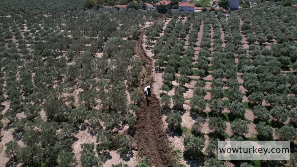 5a996967-76ee-426b-914e-5a7de1e22e17