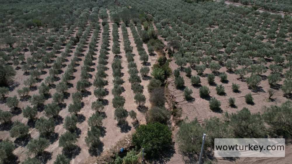 5c9f318b-04ac-4a90-b313-6bc5e722950c