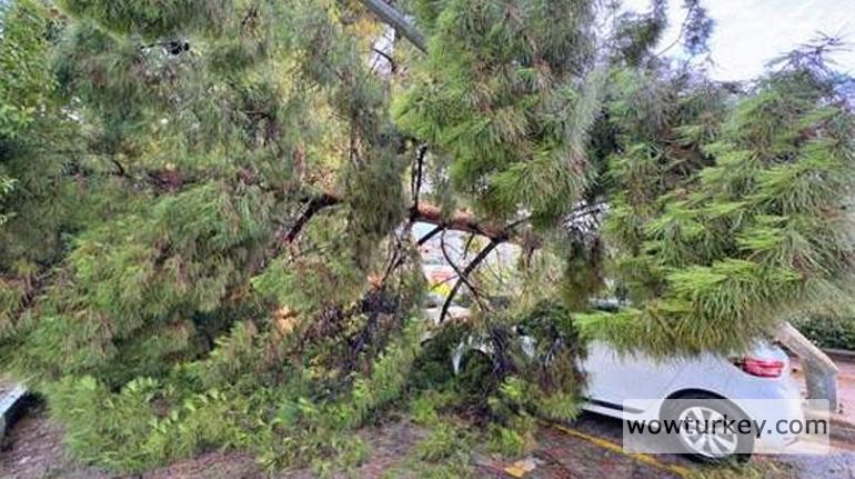 66a119e68c1d7f4a1b08fb42