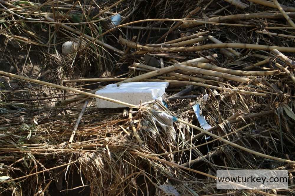 6ca839b4-0a55-4bc5-873c-af2b56d9522a