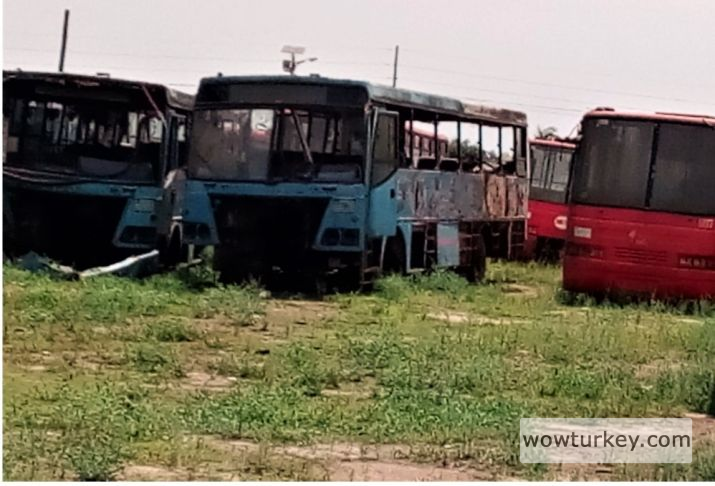 80582753_2739302166165549_9058215417448759296_n