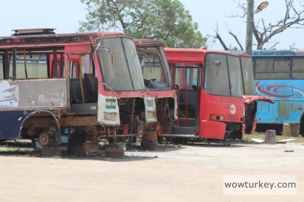 80737462_2739302699498829_2857138285409468416_n