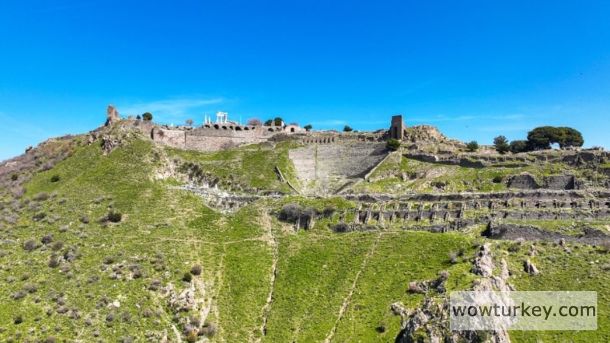 881jpg-H-uxI4vdYU_pB379VHjz7Q