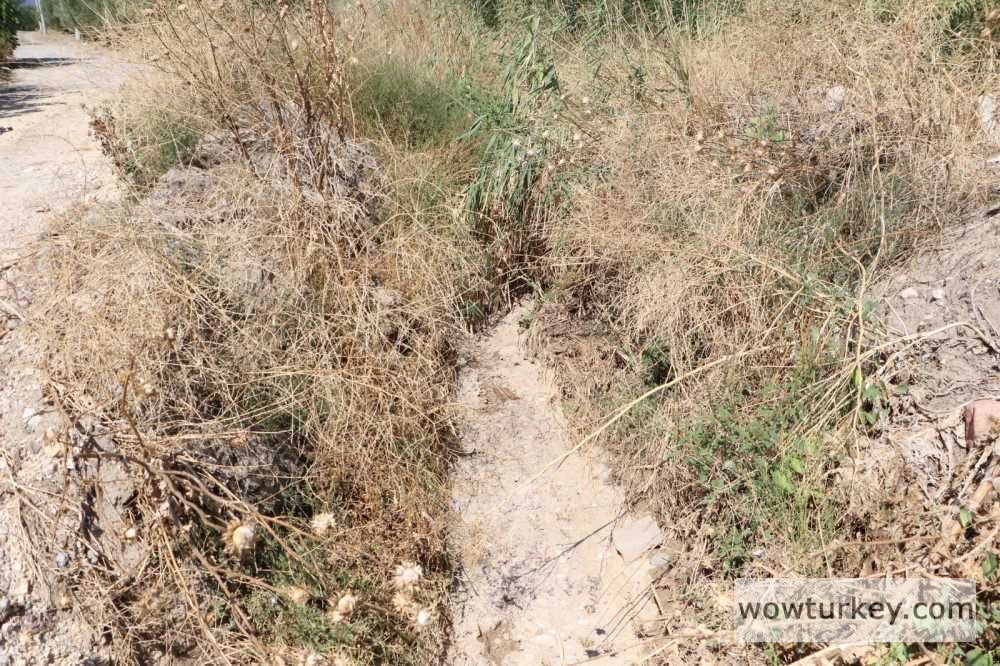 93c1e6ae-289d-427d-ac33-ab2ecddc2841