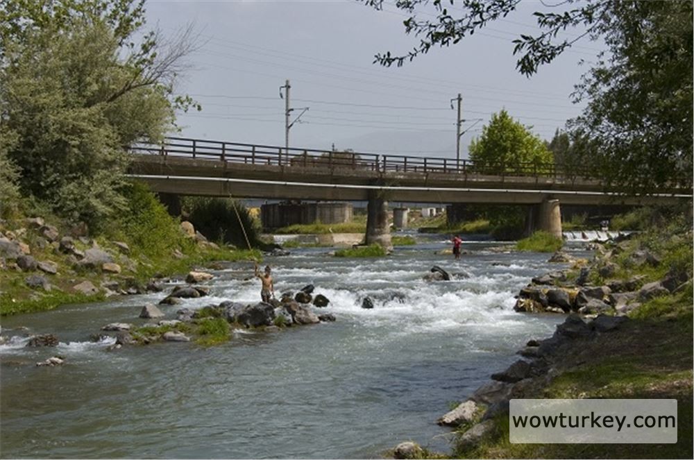 946b17b6-bd52-4346-9778-f8338454874f