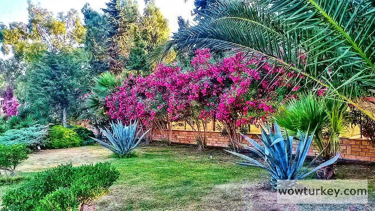 a0375d63-2d36-429f-9a31-8270e966f1d5-1_all_1040