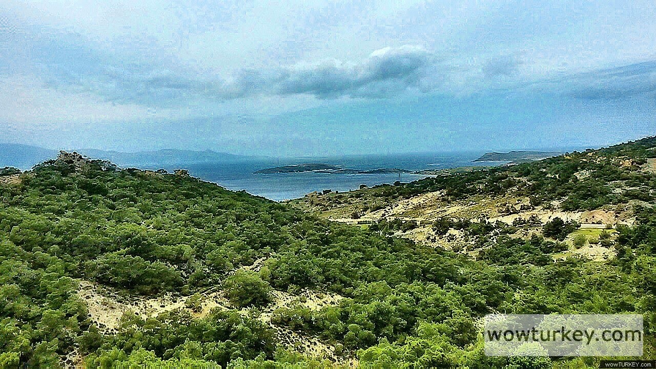 a0375d63-2d36-429f-9a31-8270e966f1d5-1_all_1067