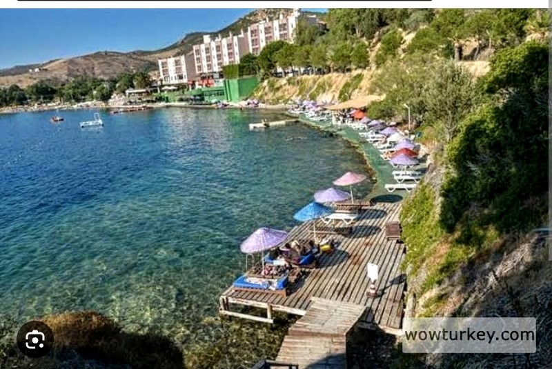 a0375d63-2d36-429f-9a31-8270e966f1d5-1_all_4203