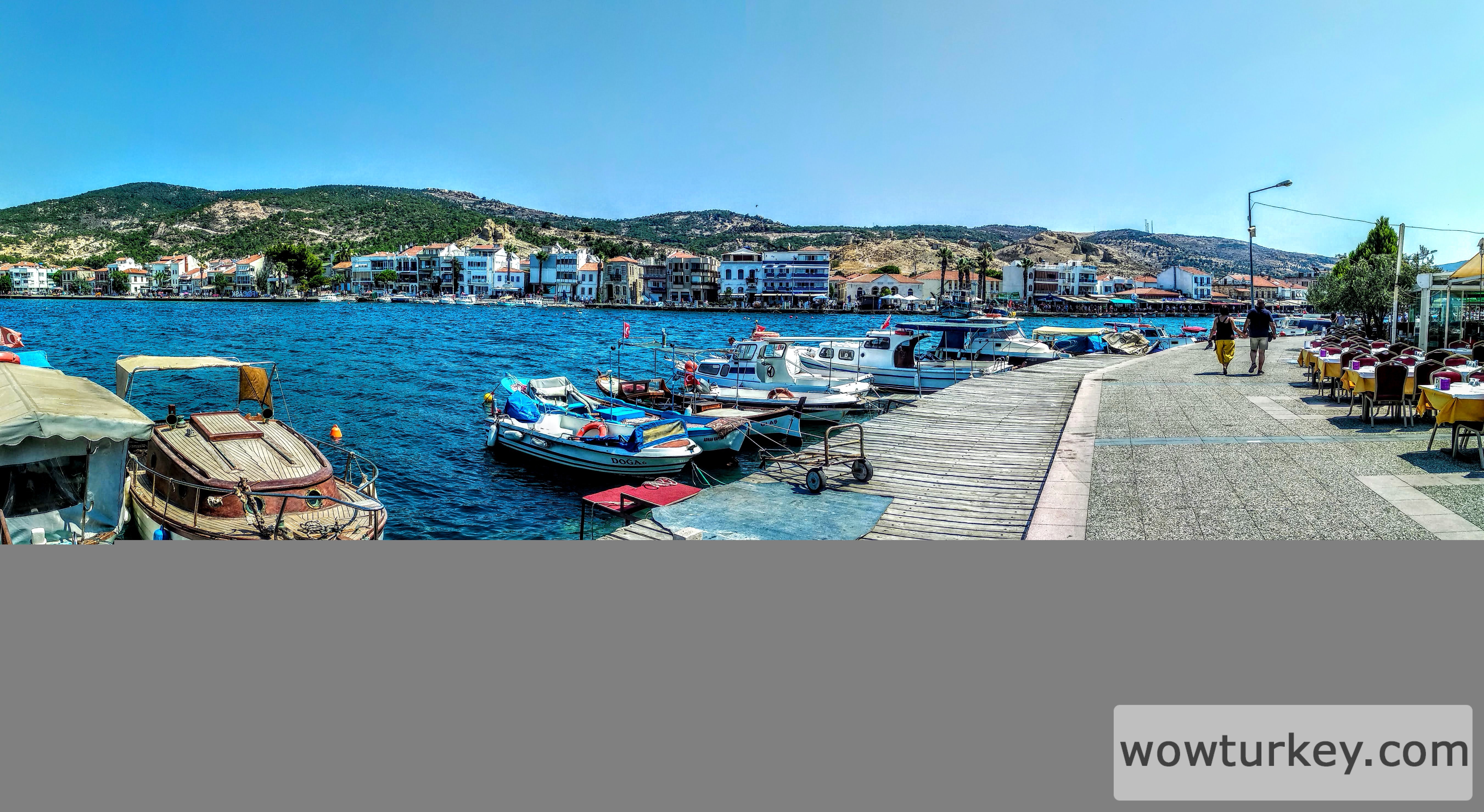 a0375d63-2d36-429f-9a31-8270e966f1d5-1_all_883