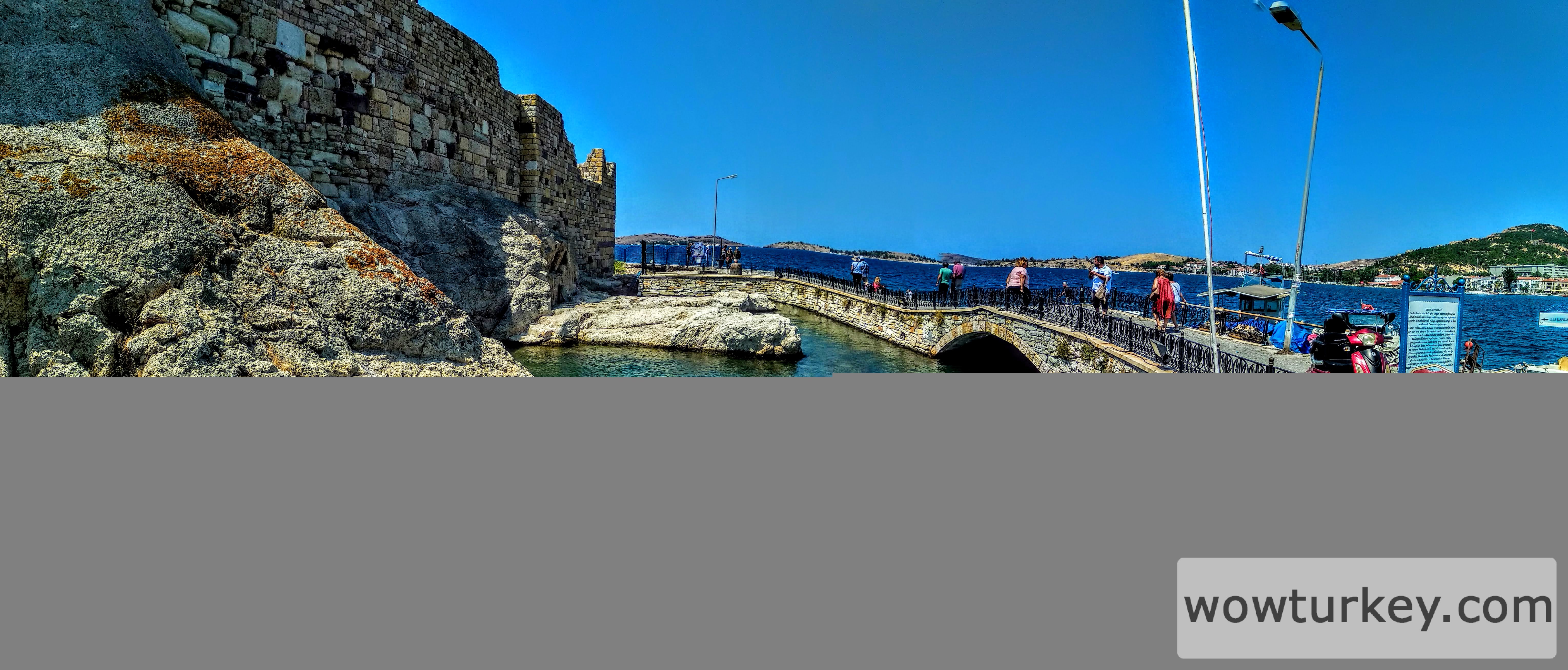 a0375d63-2d36-429f-9a31-8270e966f1d5-1_all_888