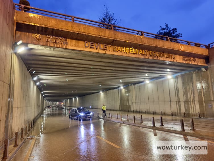 aa_picture_20240413_34261280