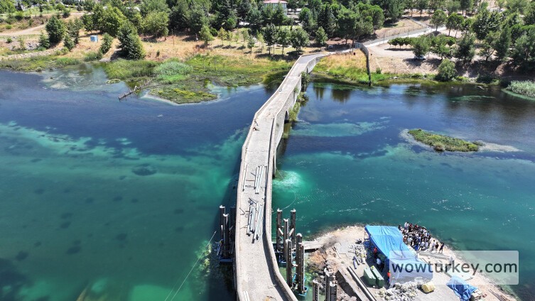 aa_picture_20240815_35409352