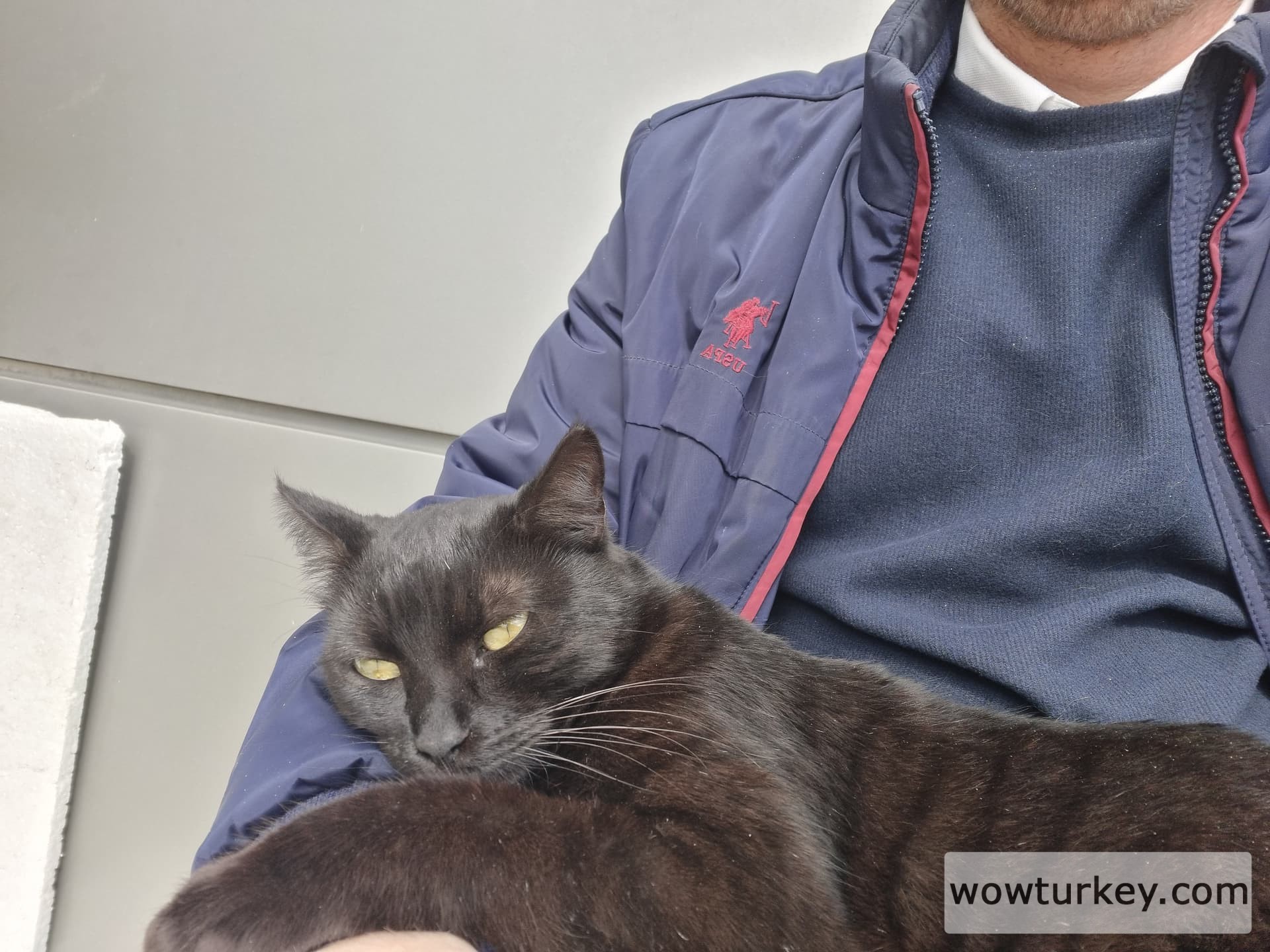 abca5f73-9d34-465e-9a6f-81e4293eb050-1_all_3214