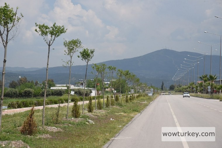 ağaçlandırma-çalışması-11_760x507