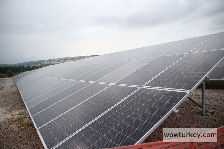 attachment-84640-2-c99f9acb7243621be545d0182d2d67cb-1725281888