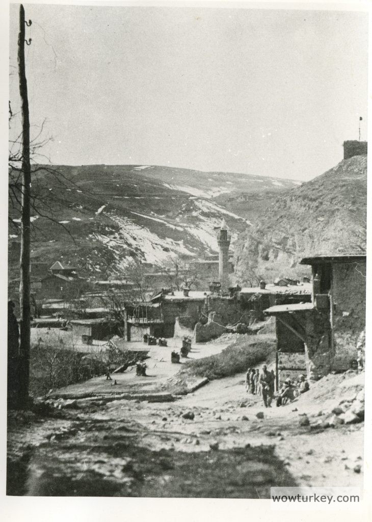 Bild_003-730x1024 (1)