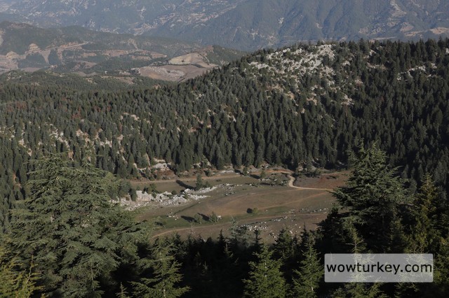 bksns-sersem-yaylasi-min